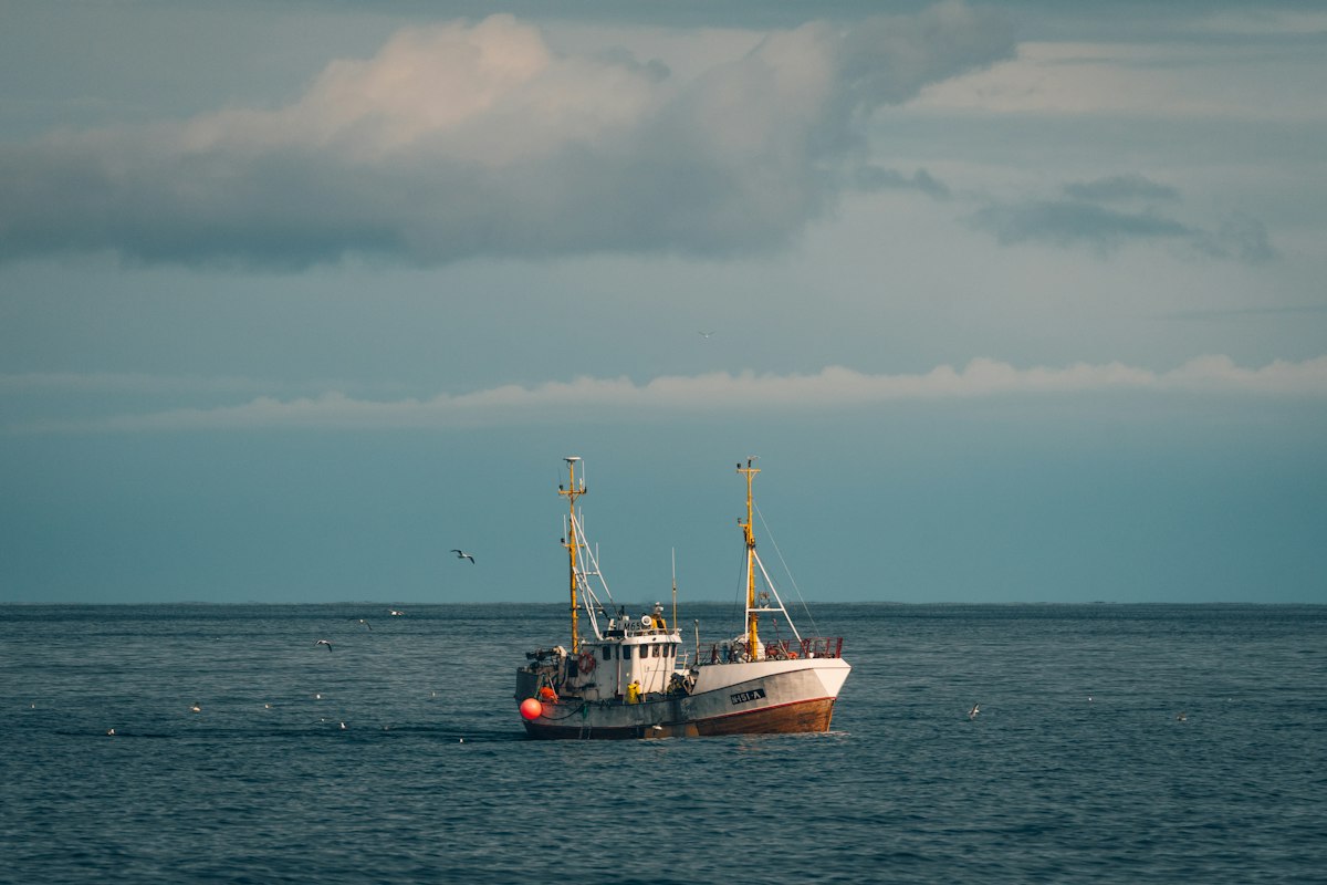 Fishing vessel on open water